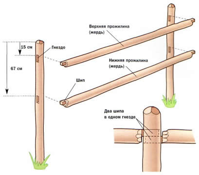 Размеры деревянных столбов. Деревянные столбы для забора. Прожилины для забора деревянные. Прожилина для забора из дерева. Диаметр деревянного столба для забора.
